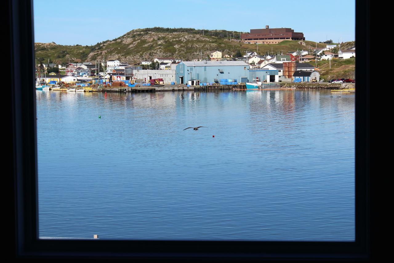 Twillingate & Beyond Inc. 호텔 외부 사진